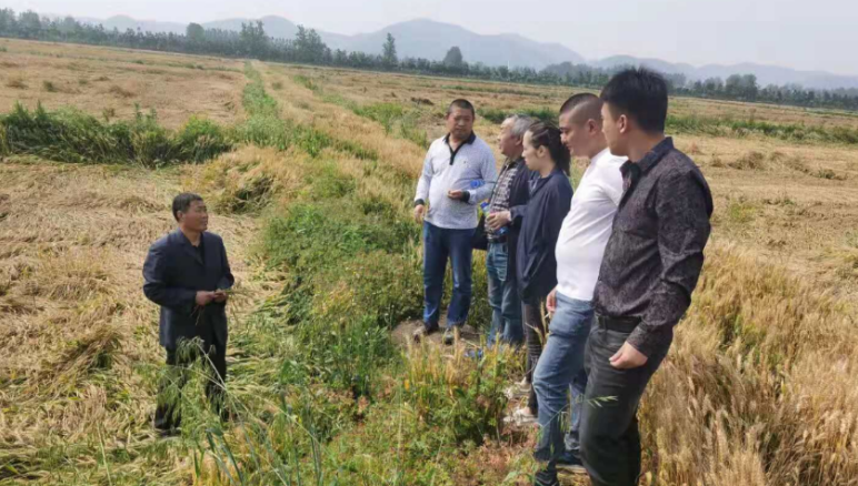 微信截图_20210526154711.png 微信截图_20210526154711.png