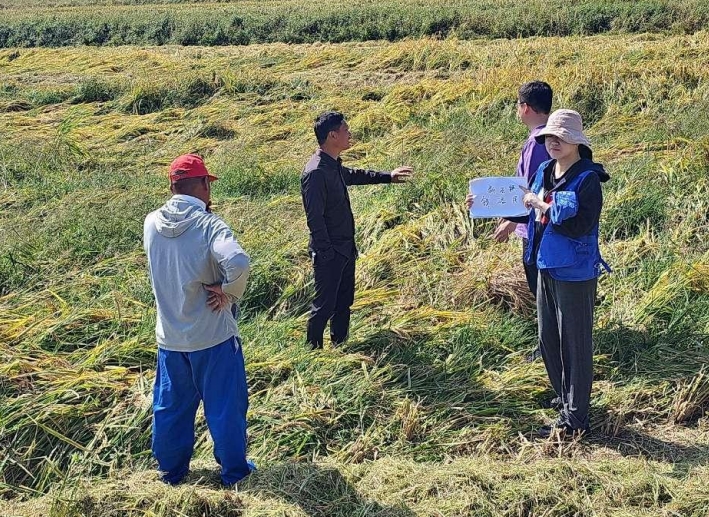 微信截图_20241009161549.png 微信截图_20241009161549.png